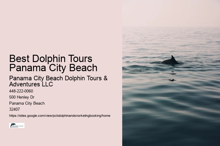 Best Dolphin Tours Panama City Beach