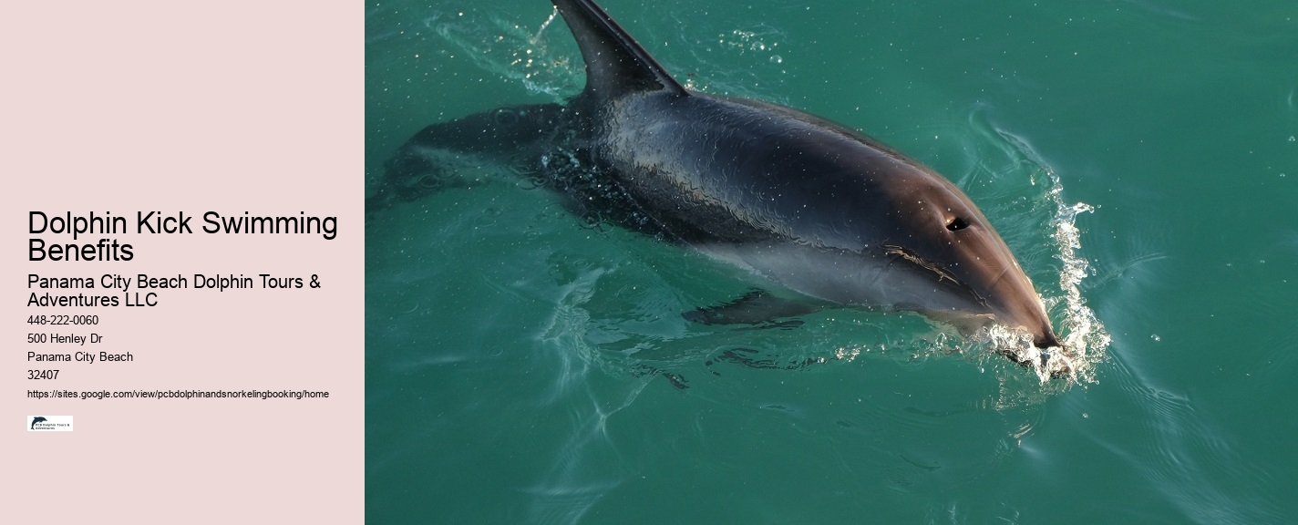 Boat Trip Dolphins And Whales