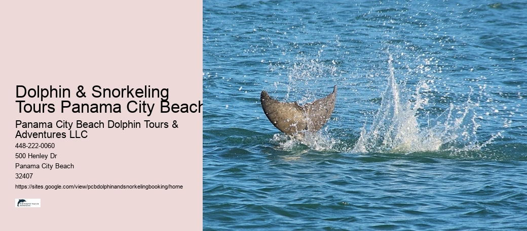 Dolphin & Snorkeling Tours Panama City Beach