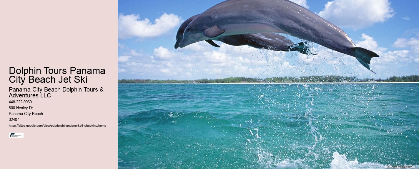 What Makes A Dolphin Swim Fast