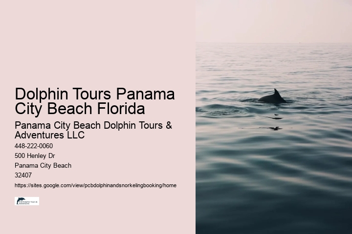 Dolphin Tours Panama City Beach Florida