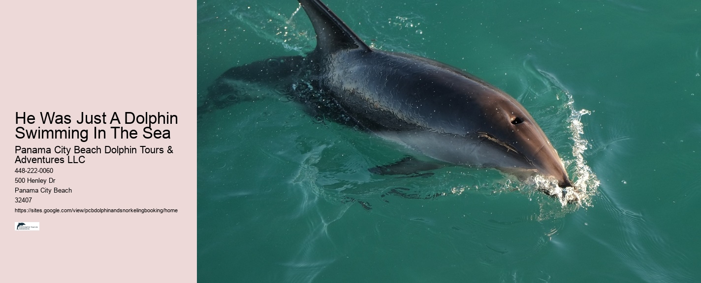 Do you need a wetsuit to snorkel in Florida