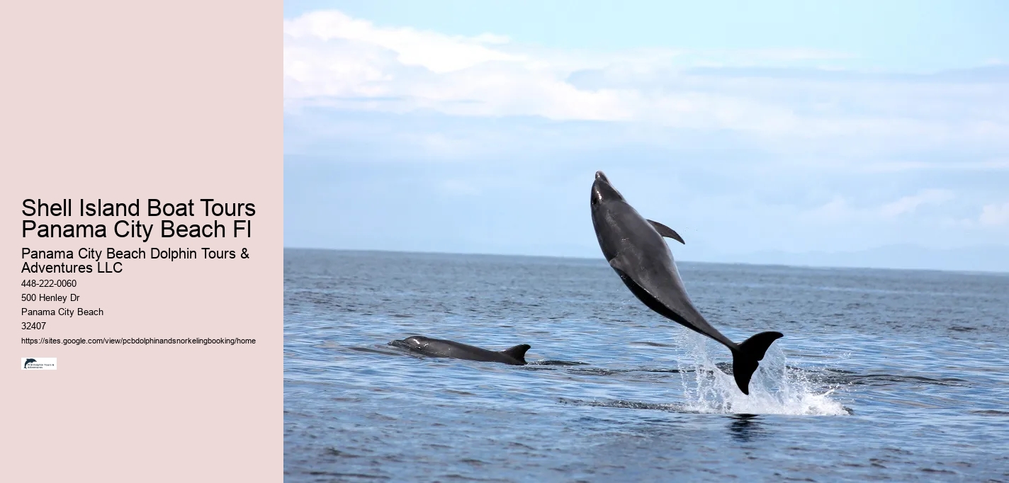 Shell Island Boat Tours Panama City Beach Fl