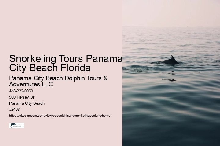 Snorkeling Tours Panama City Beach Florida