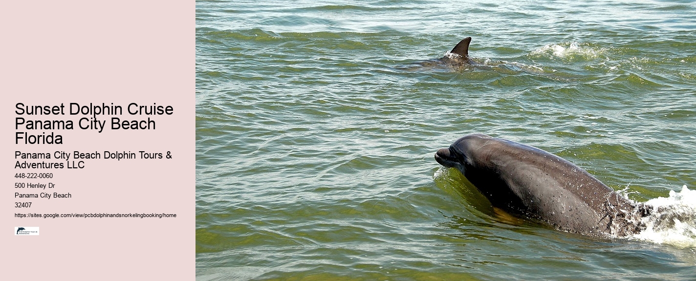 Dolphin Boat Tour Fort Lauderdale