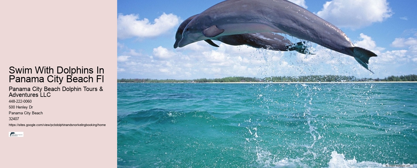 Group Snorkeling Trips