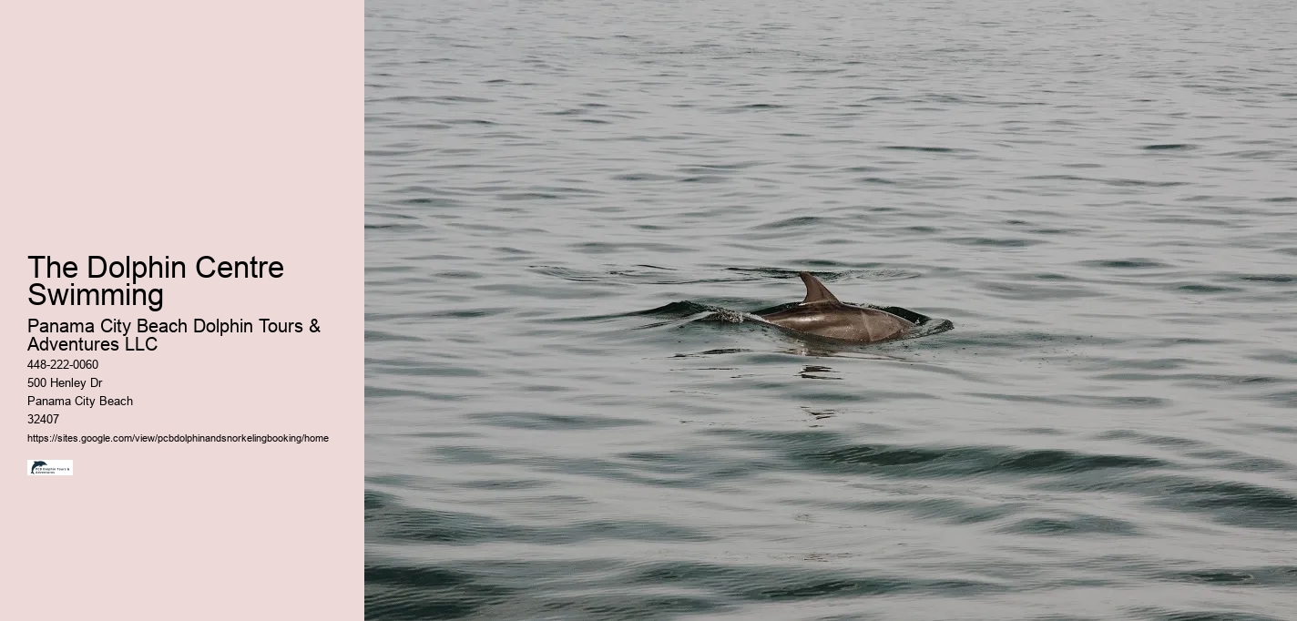 The Dolphin Centre Swimming