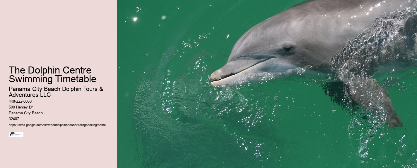 Jet Ski Dolphin Tours Panama City Beach Florida